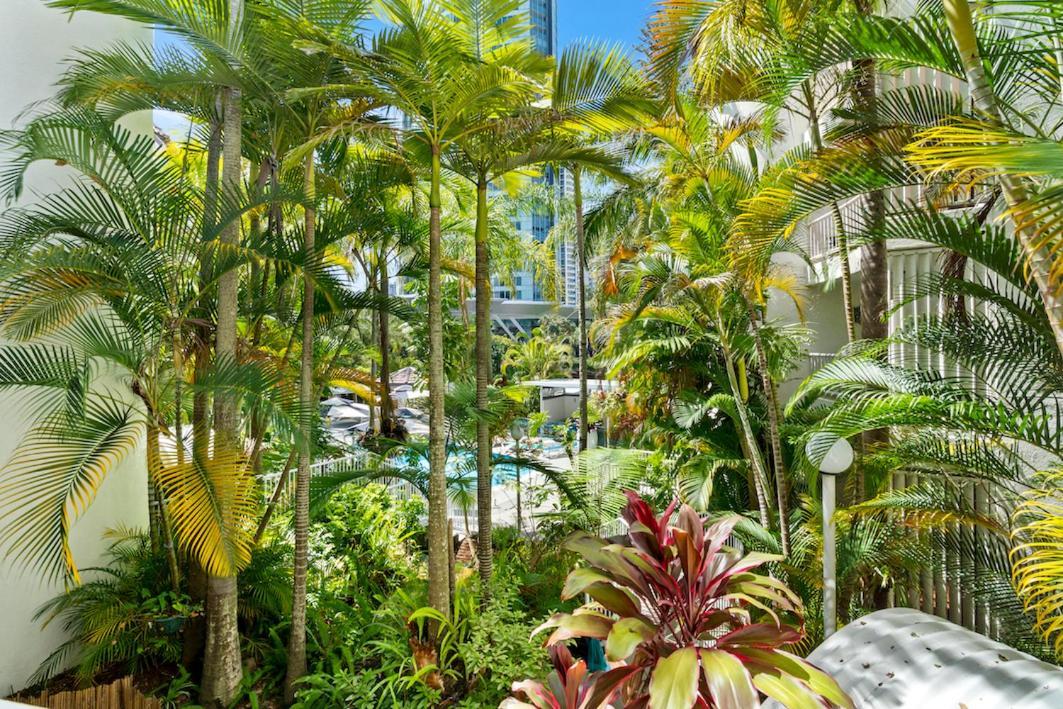 Coco Bella Dream In Surfers Paradise Gold Coast Ngoại thất bức ảnh
